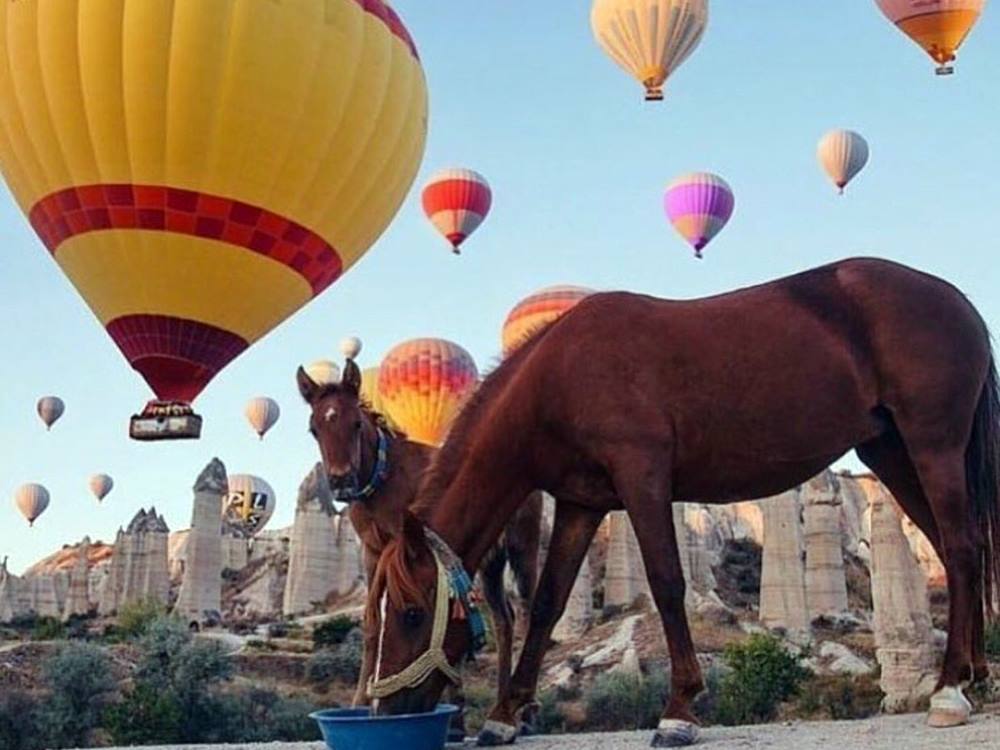 Сафари на лошадях в Каппадокии