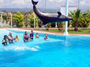 Общение с дельфинами в Мармарисе