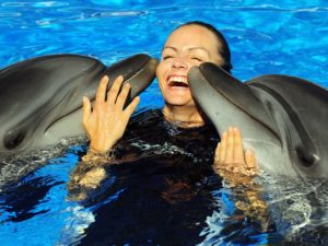 Общение с дельфинами в Мармарисе