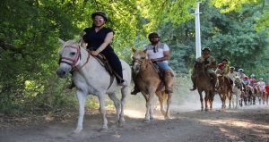 Прогулка на лошадях в Бодруме