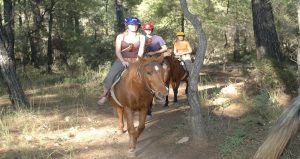 Прогулка на лошадях в Бодруме