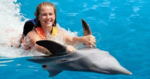 Плавание с дельфинами в Алании