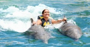 Плавание с дельфинами в Алании