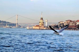 Прогулка по Босфору в Стамбуле - Панорама Босфора