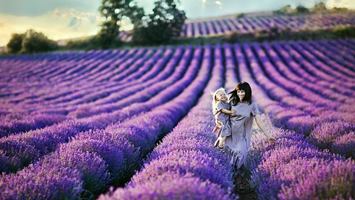 Тур на озеро Салда и Лавандовые поля из Кемера