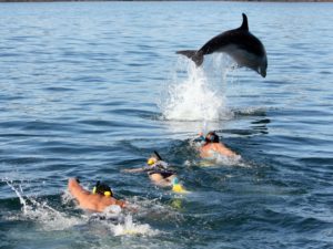 Остров дельфинов в Сиде