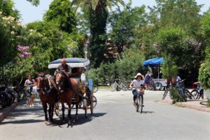 Экскурсия на остров Бююкада в Стамбуле