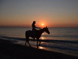 Сафари на лошадях на рассвете в Анталии