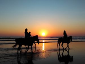Сафари на лошадях на закате в Анталии