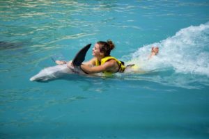 Плавание с дельфинами из Сиде