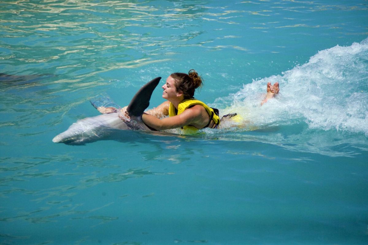 Плавание с дельфинами. Девочка на надувном дельфине. Девушка и Дельфин. Девушки на надувных дельфинах. Удовольствие с дельфином
