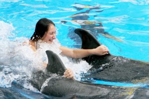 Плавание с дельфинами из Сиде
