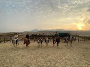 Сафари на лошадях на рассвете в Памуккале