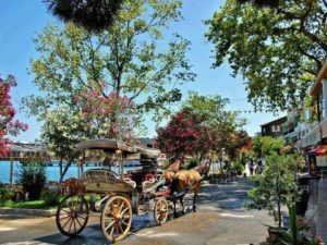 Тур на Принцевы острова в Стамбуле